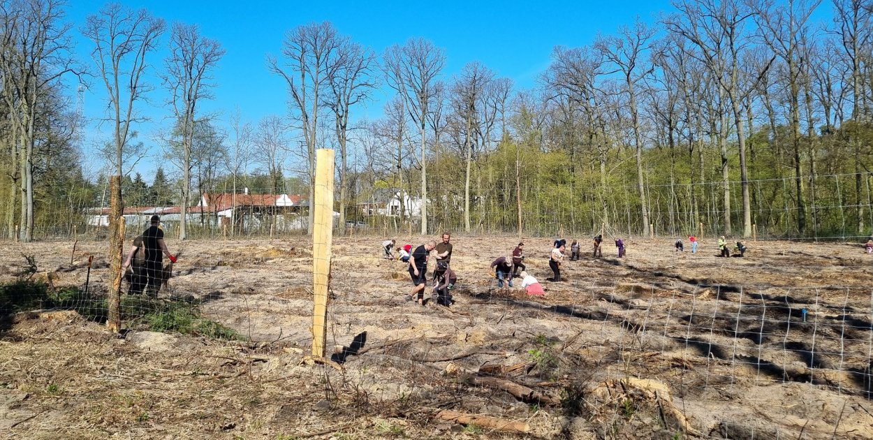 Zakasali rękawy i wspólnie zrobili coś dobrego (zdjęcia, film)