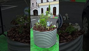 Nowy wygląd Placu Powstańców w Lesznie