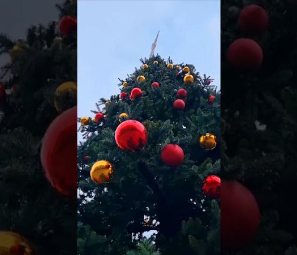 Świąteczny Rynek w Lesznie