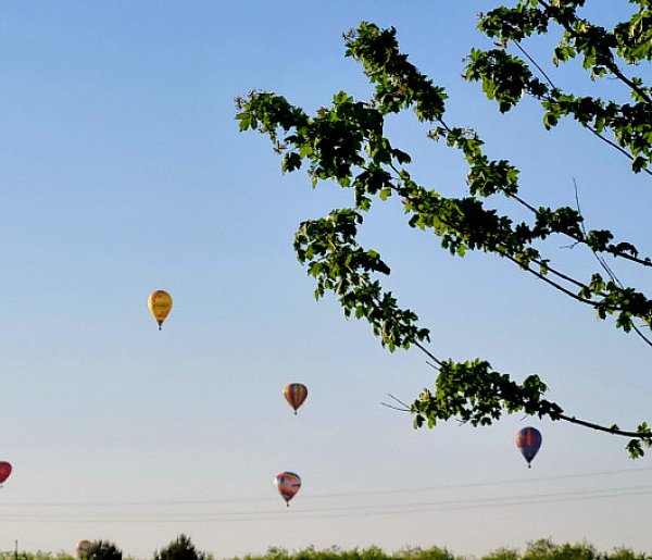 Balony nad Lesznem